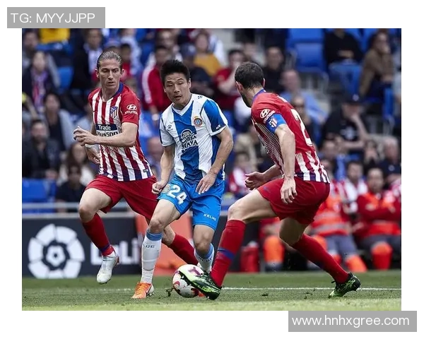 成都排球队以95分领跑联合会杯积分榜展现强劲实力