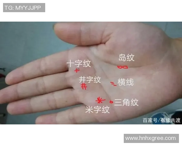 足球明星手相揭秘男性球员掌纹分析与性格特征探讨