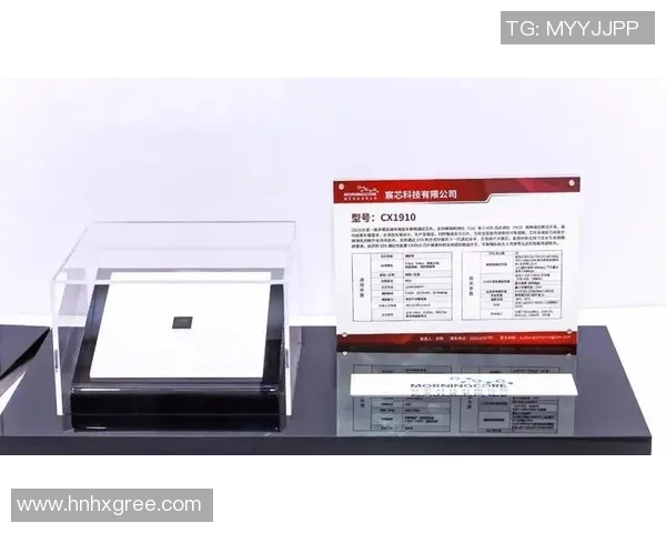 深圳篮球队运营揭秘:深度分析其成功背后的策略与挑战 深圳篮球队运营揭秘:深度分析其成功背后的策略与挑战